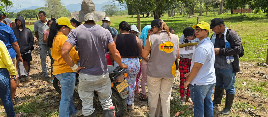 entrega mercados fundacion exito